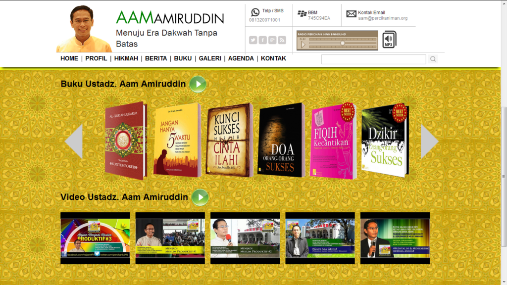 aam-amiruddin-com